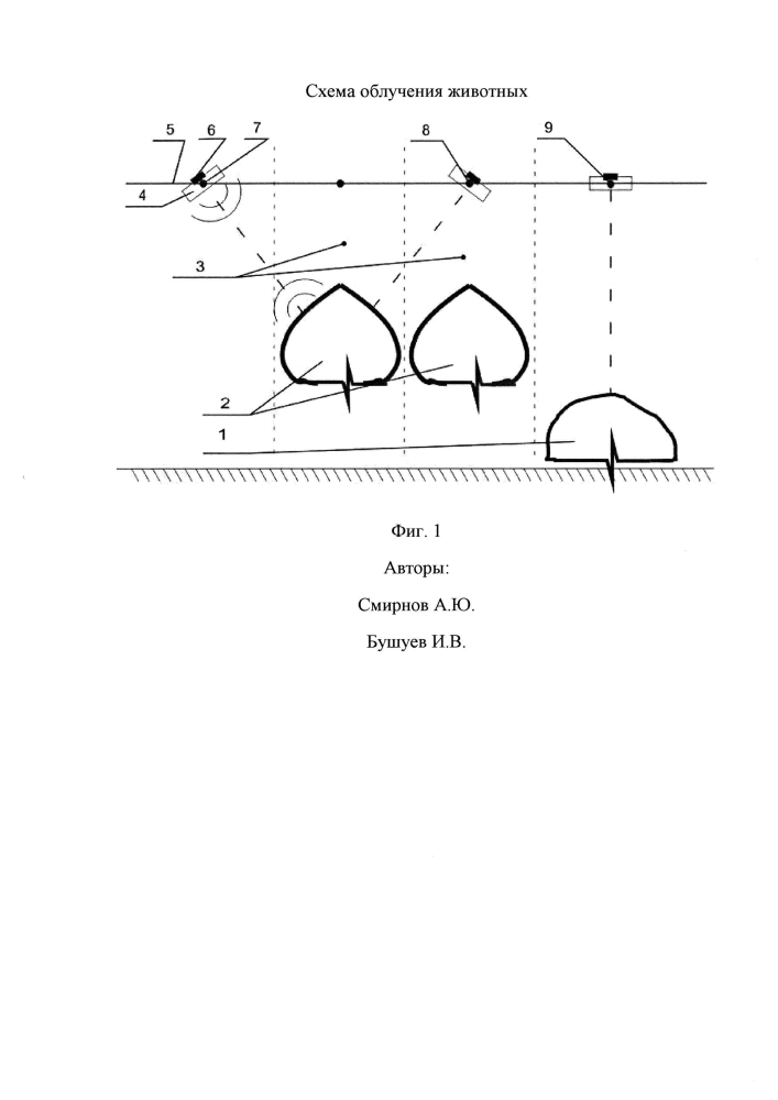 Способ ультрафиолетового облучения животных (патент 2605340)