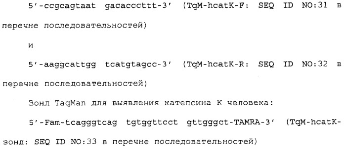 Антитело, направленное на белок siglec-15, связанный с остеокластами (патент 2475499)