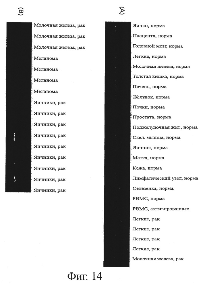 Идентификация опухолеассоциированных антигенов для диагностики и терапии (патент 2644686)