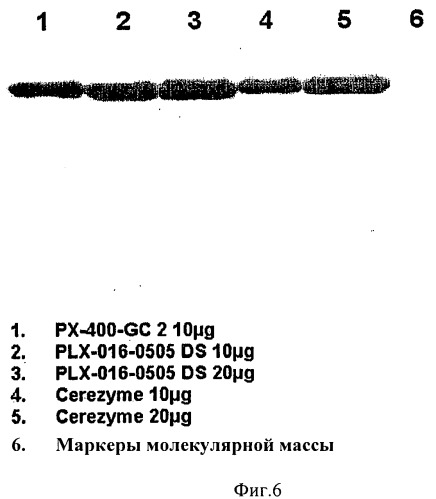 Одноразовое устройство для культивирования и сбора растительной ткани и/или клеток, способ и система культивирования и сбора растительной ткани и/или растительных клеток (патент 2468076)