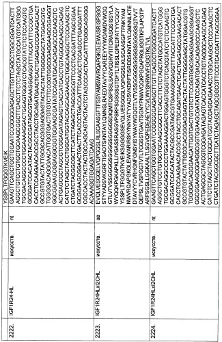 Pscaxcd3, cd19xcd3, c-metxcd3, эндосиалинxcd3, epcamxcd3, igf-1rxcd3 или fap-альфаxcd3 биспецифическое одноцепочечное антитело с межвидовой специфичностью (патент 2547600)