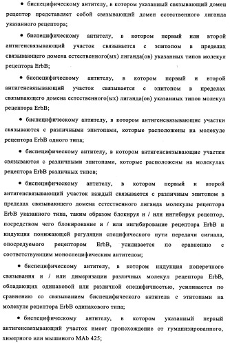 Биспецифические антитела к erb-b и их применение для лечения опухолей (патент 2349340)