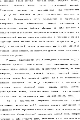 Ее3-семейство белков и соответствующие днк-последовательности (патент 2333918)
