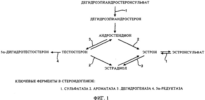 Соединение (патент 2505532)