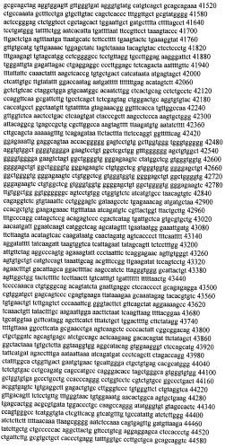 Модуляция экспрессии гентингтина (патент 2562861)