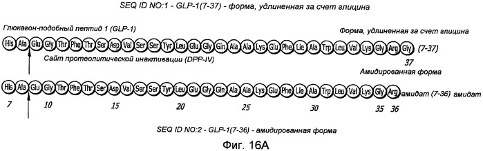 Фармацевтические композиции, содержащие глюкагонподобный пептид(glp-1) (патент 2409349)