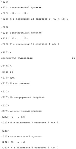 Полипептиды, обладающие протеазной активностью, и нуклеиновые кислоты, кодирующие указанные полипептиды (патент 2318018)