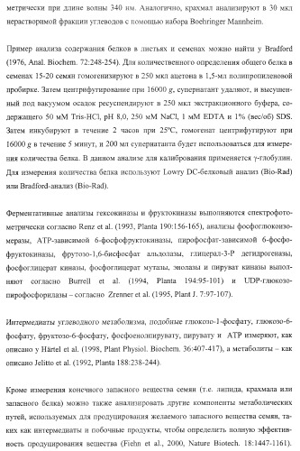 Молекулы нуклеиновых кислот, кодирующие wrinkled1-подобные полипептиды, и способы их применения в растениях (патент 2385347)