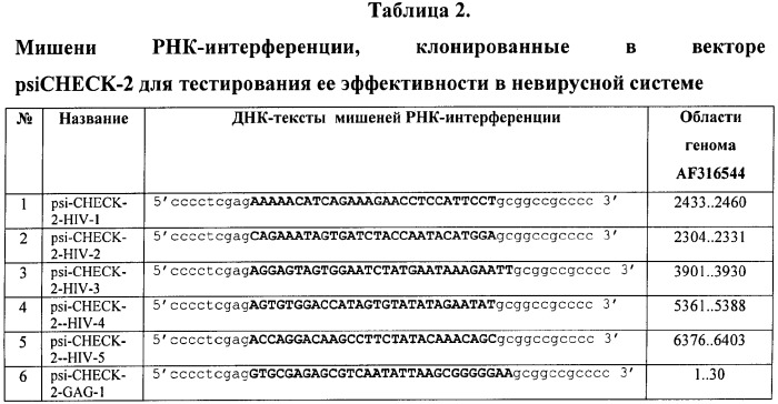Генетические конструкции, атакующие шесть новых мишеней рнк-интерференции в транскриптах вируса иммунодефицита человека 1 типа и подавляющие репродукцию вируса в клетках человека (патент 2385939)