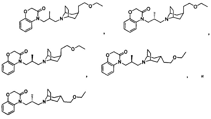 Аналоги тетрагидрохинолина в качестве мускариновых агонистов (патент 2434865)