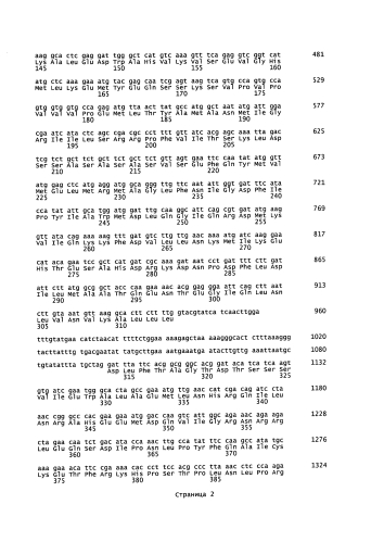 Способ получения лилий, содержащих в лепестках делфинидин (патент 2590722)