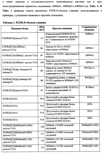 Мутеины кислотной зоны внеклеточного домена рецептора фактора роста фибробластов (патент 2509774)