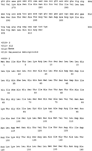 Пептид neisseria meningitidis для терапевтического и диагностического применения (патент 2313535)