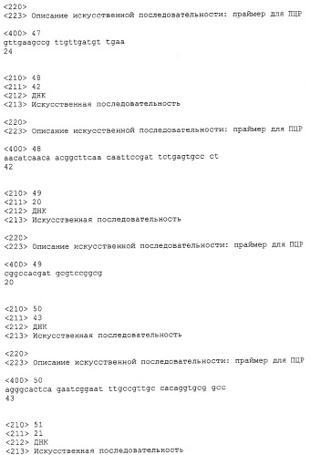 Способ секреторной продукции белка (патент 2264463)