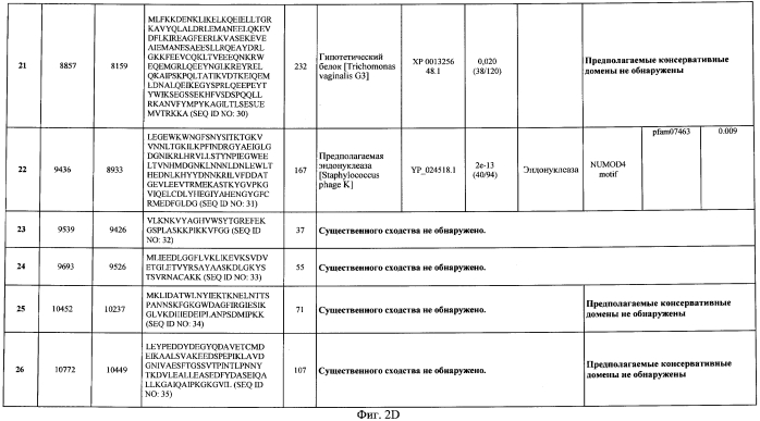 Бактериофаг, обладающий активностью против pseudomonas aeruginosa, белки бактериофага и способы их применения (патент 2580248)