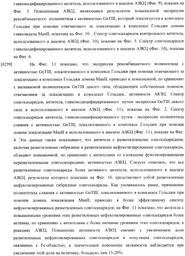 Конструкции слияния и их применение для получения антител с повышенными аффинностью связывания fc-рецептора и эффекторной функцией (патент 2407796)