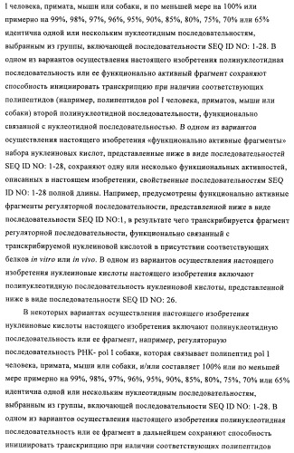 Способы и композиции для экспрессии антисмысловой вирусной рнк в клетках собаки (патент 2457250)
