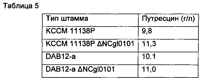 Рекомбинантный микроорганизм, обладающий повышенной способностью продуцировать путресцин, и способ получения путресцина с использованием этого микроорганизма (патент 2603089)