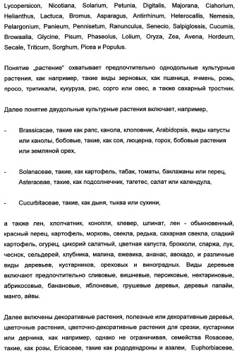 Новые последовательности нуклеиновых кислот и их применение в способах достижения устойчивости к патогенам в растениях (патент 2346985)