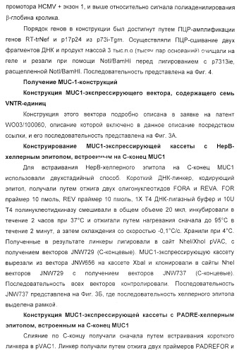 Способ усиления иммунного ответа млекопитающего на антиген (патент 2370537)