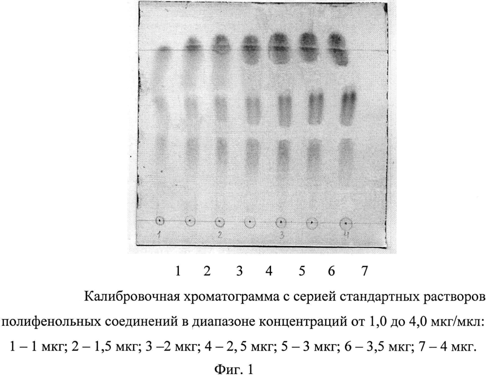 Способ определения полифенольных соединений методом ступенчатого элюирования в тонком слое сорбента (патент 2597661)