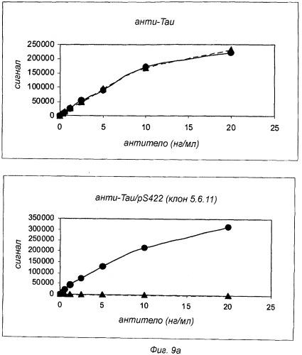 Применение антитела против tau ps422 для лечения заболеваний головного мозга (патент 2536247)