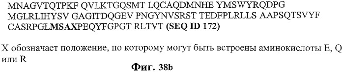Экспонирование т-клеточных рецепторов (патент 2346004)