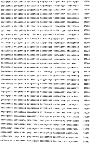 Бактериофаг, обладающий активностью против pseudomonas aeruginosa, белки бактериофага и способы их применения (патент 2580248)