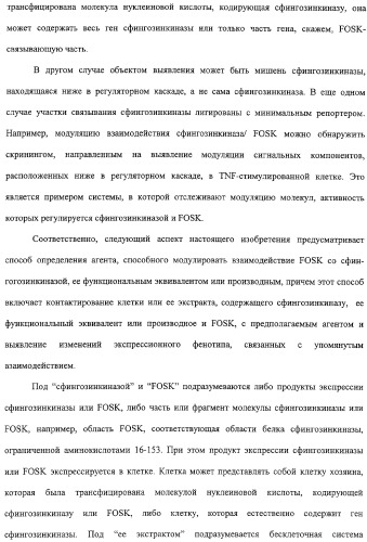 Сфингозинкиназа (варианты), нуклеиновая кислота, ее кодирующая (варианты), и их применение (патент 2326945)