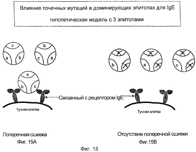 Новые мутантные аллергены (патент 2285042)