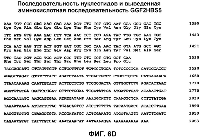 Композиции и способы для лечения во время не острых периодов после неврологического повреждения цнс (патент 2501564)