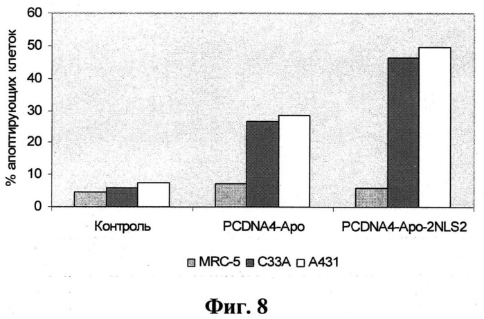 Рекомбинантная плазмидная днк pcdna4-apo-2nls2, несущая синтетический ген белка апоптина, индуцирующего p53 независимый апоптоз опухолевых клеток (патент 2541777)