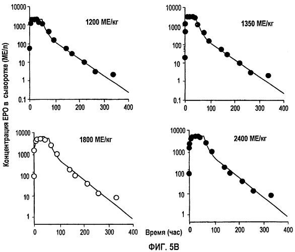 Фармакокинетическое и фармакодинамическое моделирование введения эритропоэтина (патент 2248215)