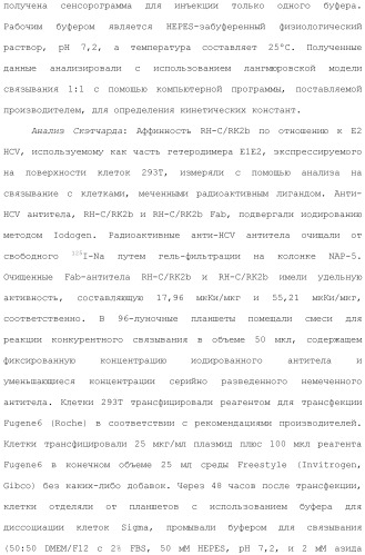 Антитела против вируса гепатита с (патент 2462475)