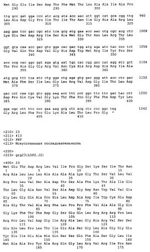 Гены grg23 и grg51, придающие устойчивость к гербицидам (патент 2393225)