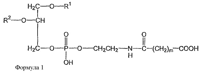 Новые композиции липосом (патент 2454229)