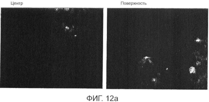 Гомогенизация и термическая обработка отливаемого металла (патент 2424869)