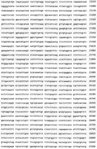 Применение s1p (патент 2362565)