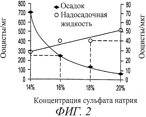 Способ очистки, выделения и споруляции цист и ооцист (патент 2260045)