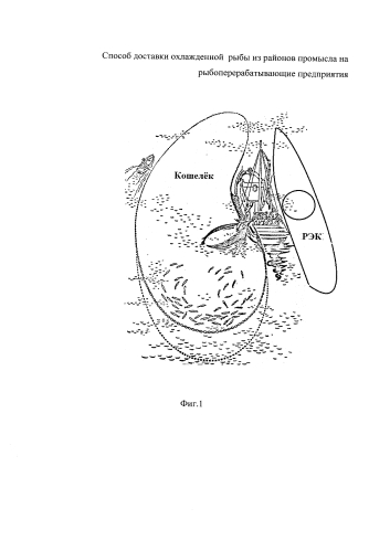Способ доставки охлажденной рыбы из районов промысла на рыбоперерабатывающие предприятия (патент 2580139)