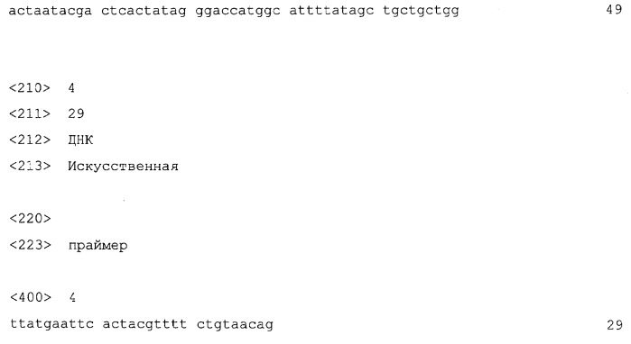 Применение пептидов для придания кокуми (патент 2536934)