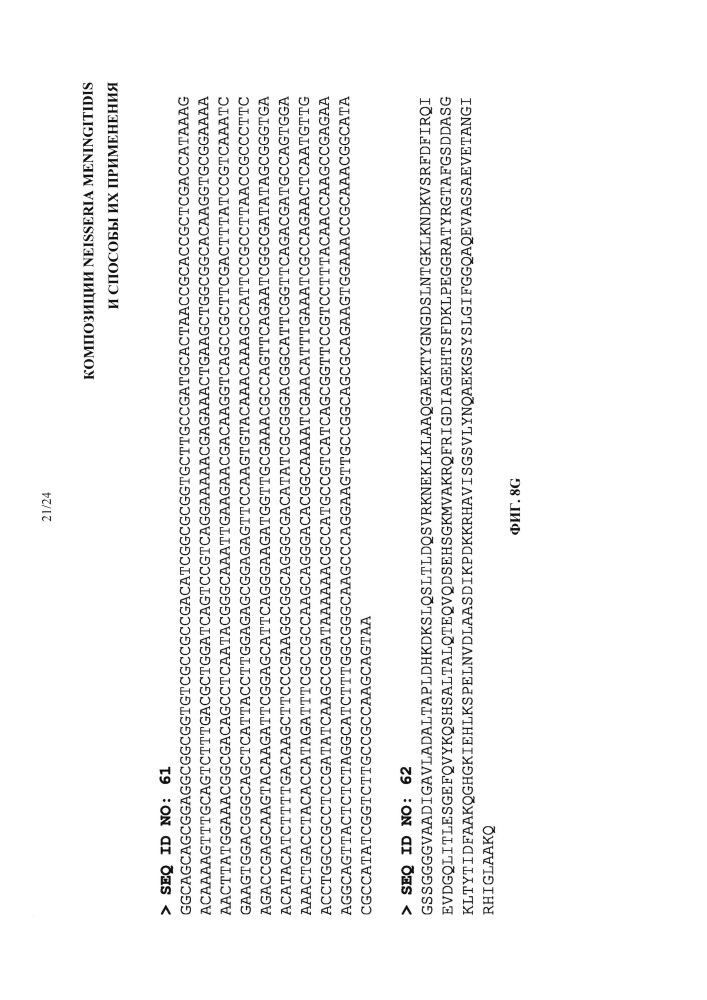 Композиции neisseria meningitidis и способы их применения (патент 2665841)