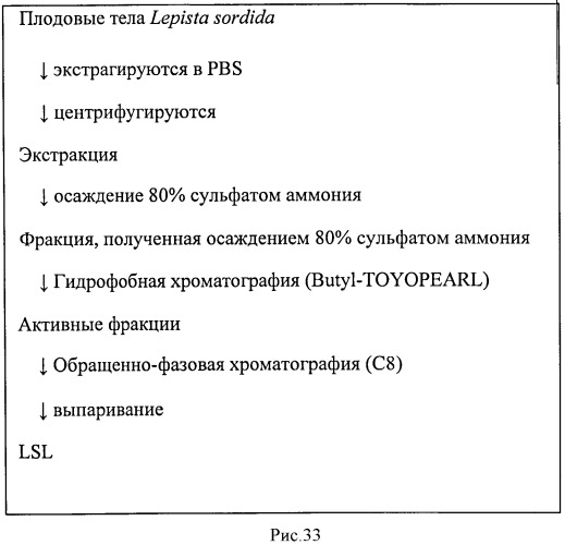 L-фукоза α1→6 специфичный лектин (патент 2524425)