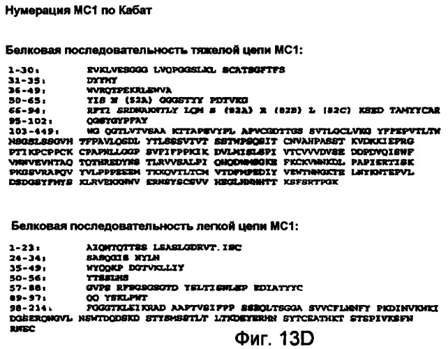 Способы профилактики и лечения ракового метастаза и разрежения кости, связанного с раковым метастазом (патент 2470665)