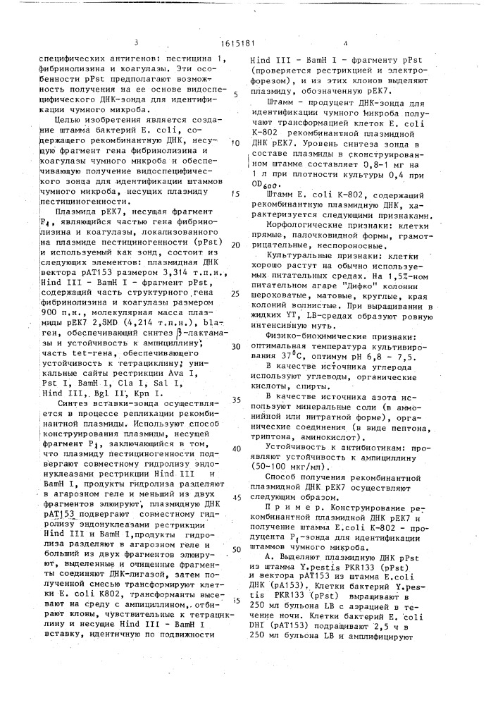 Рекомбинантная плазмидная днк рек-7-днк-зонд для идентификации штаммов чумного микроба, несущих плазмиду пестициногенности, способ ее конструирования и штамм бактерий еsснеriснiа coli - продуцент днк-зонда для идентификации штаммов чумного микроба, несущих плазмиду пестициногенности (патент 1615181)