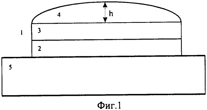 Способ изготовления этикетки (патент 2313833)