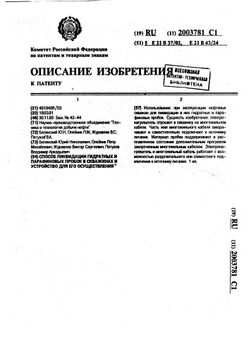 Способ ликвидации гидратных и парафиновых пробок в скважинах и устройство для его осуществления (патент 2003781)