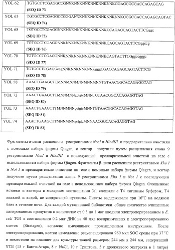 Экспонирование т-клеточных рецепторов (патент 2346004)