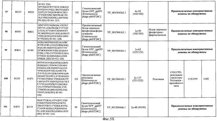 Бактериофаг, обладающий активностью против pseudomonas aeruginosa, белки бактериофага и способы их применения (патент 2580248)