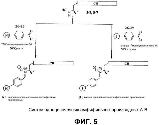 Новые амфифильные производные aльфа-c-фенил-n-трет-бутилнитрона (патент 2364602)